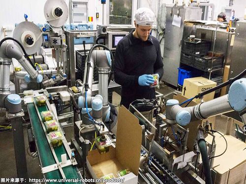 工業(yè)機(jī)械臂助力中小企業(yè)的微型工廠發(fā)展壯大